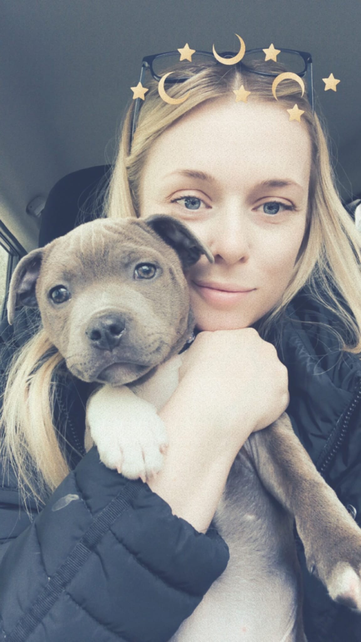 Jason Andrews's Staffie
