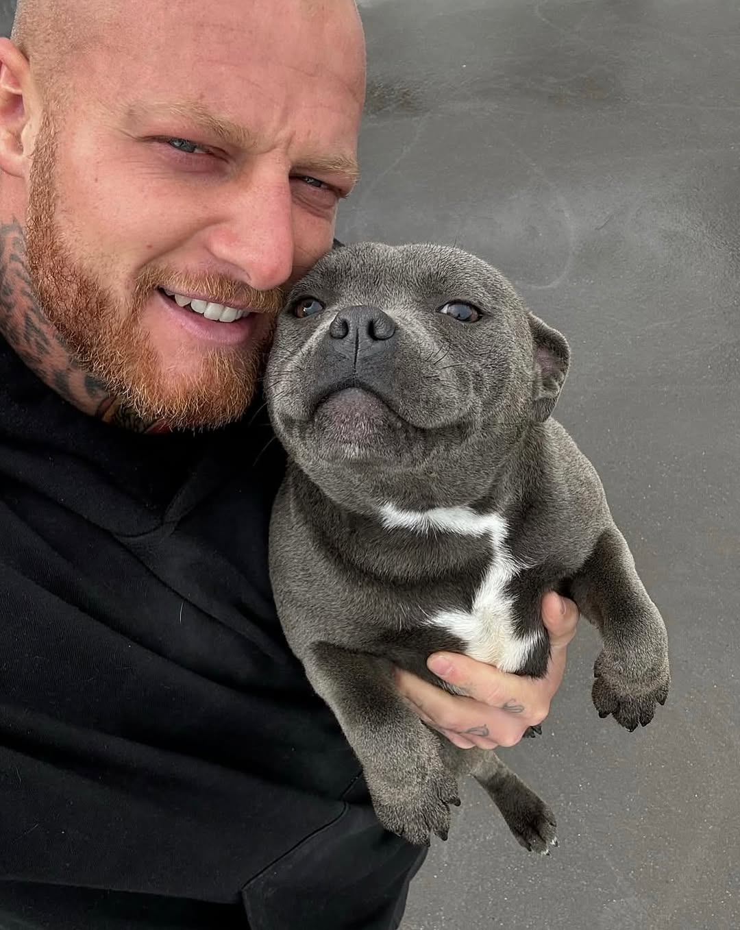 Jessica Reynolds's Staffie