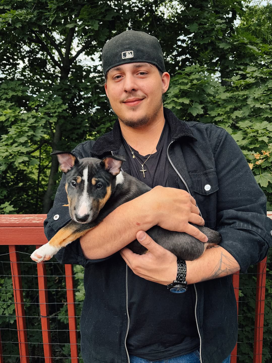 Happy Bull Terrier family — Ryan Davis