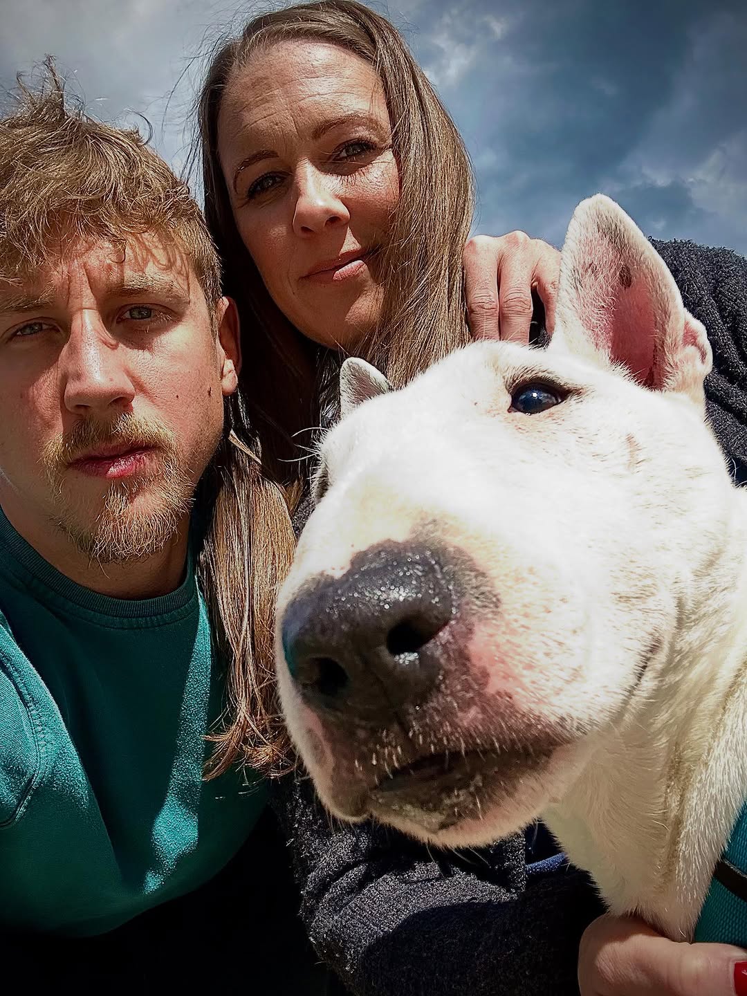 Happy Bull Terrier family — Rachel Patterson