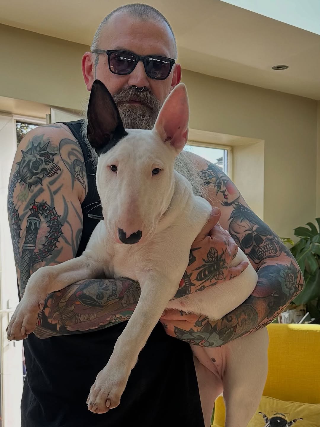 Happy Bull Terrier family — Brandon Scott