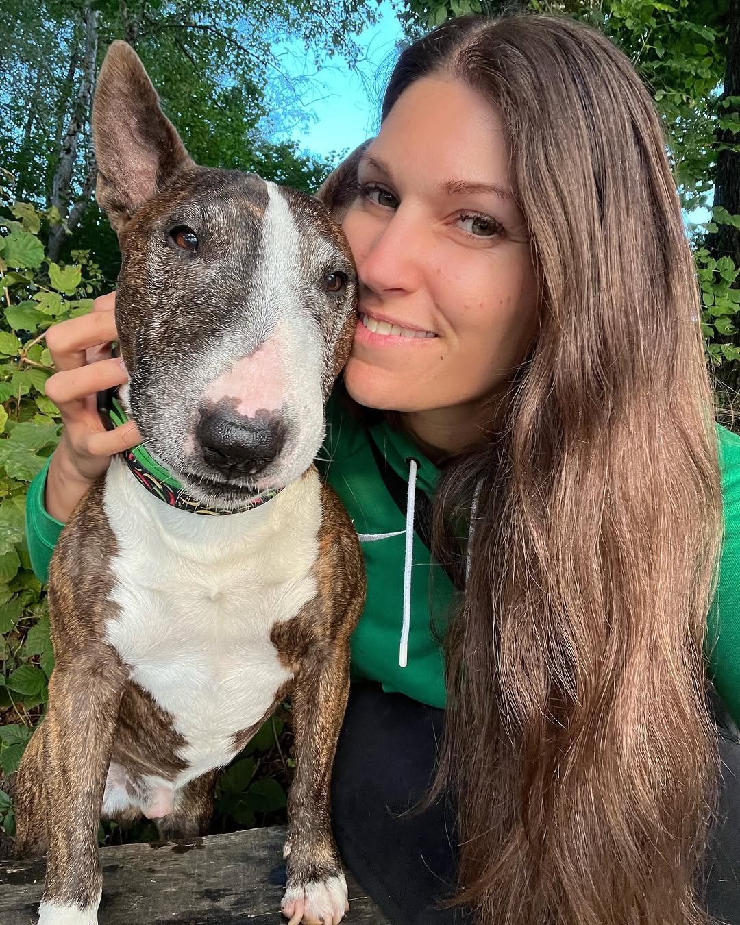 Happy Bull Terrier family — Kevin Lawson
