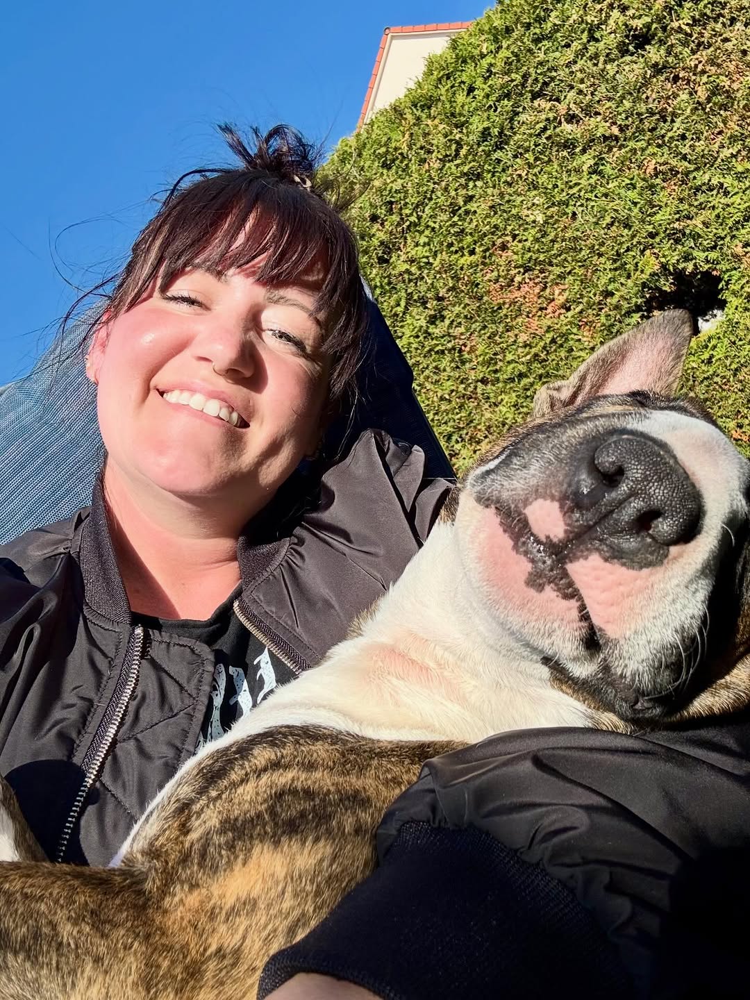 Happy Bull Terrier family — Chris Martinez